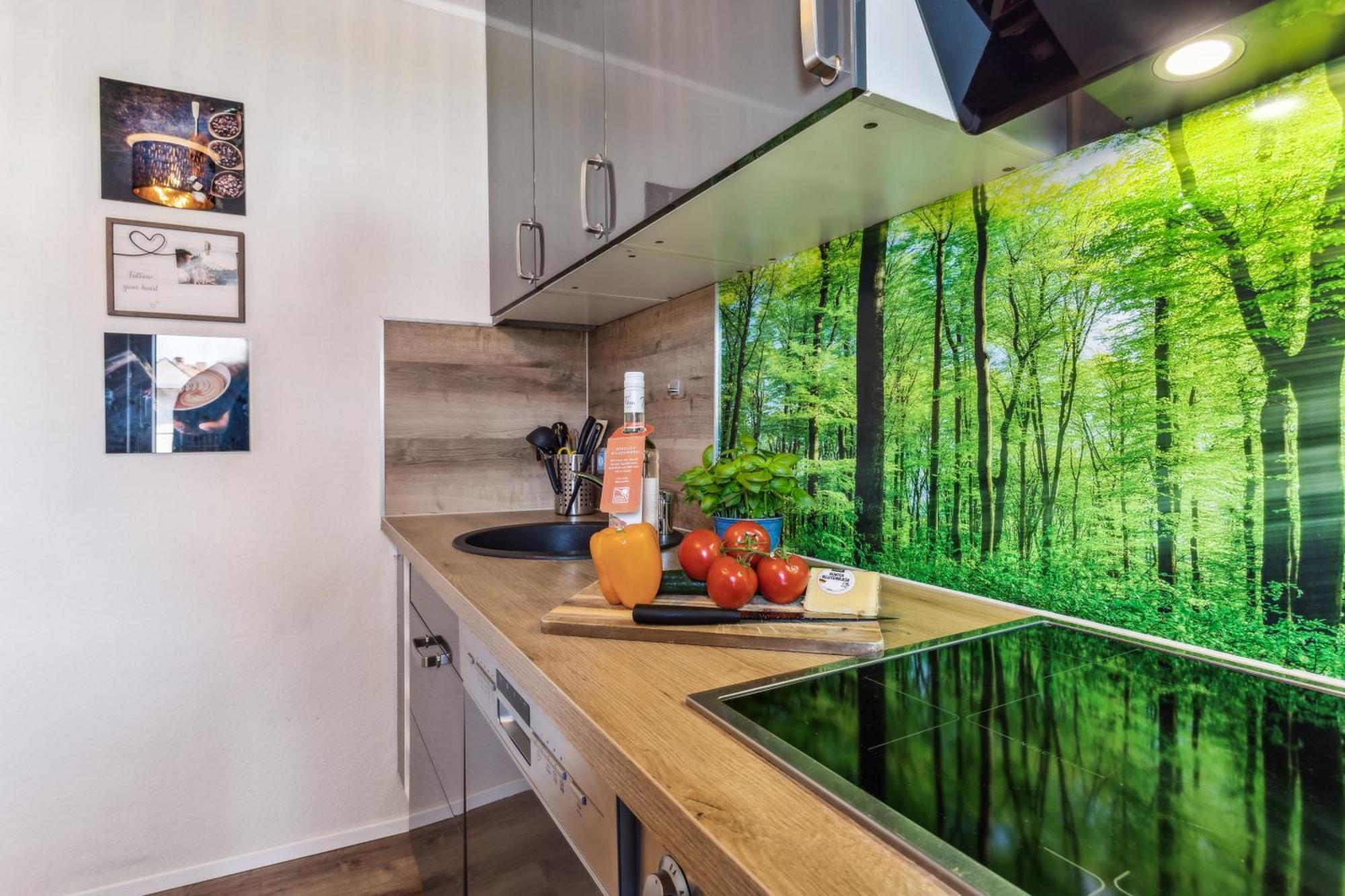 Apartment Edelharz Center Thale - Grill & Garden מראה חיצוני תמונה